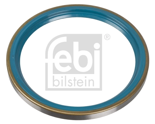 Shaft Seal, wheel hub